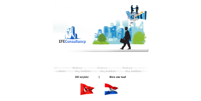 Efe Consultancy